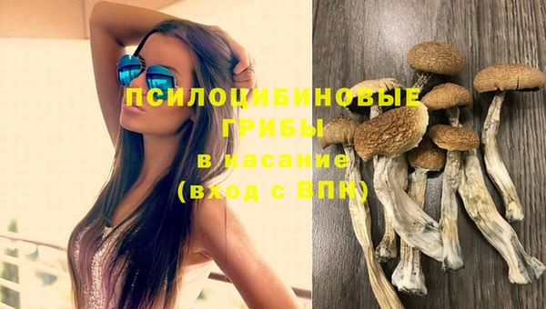 а пвп мука Алексин