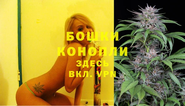 МДПВ Алексеевка