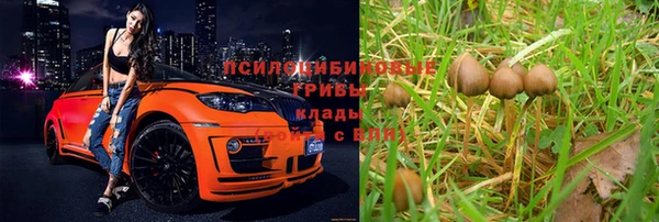 а пвп мука Алексин