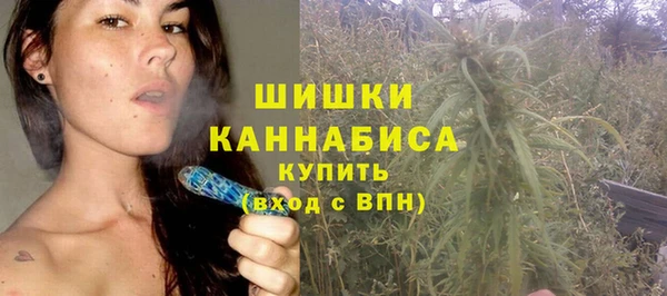 спайс Алзамай