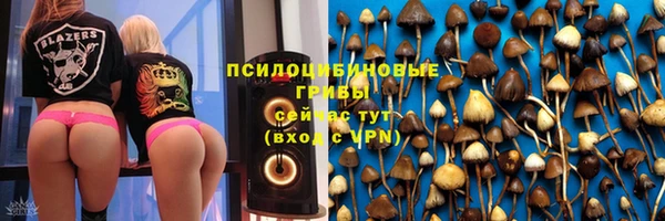 ГАЛЛЮЦИНОГЕННЫЕ ГРИБЫ Аркадак