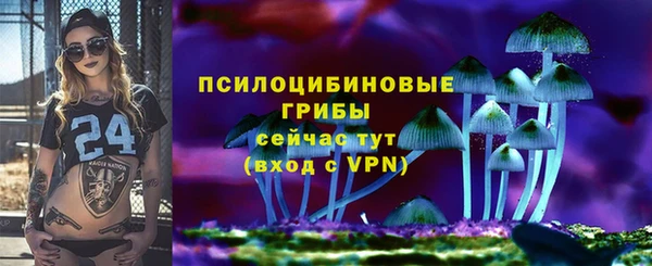 МДПВ Алексеевка