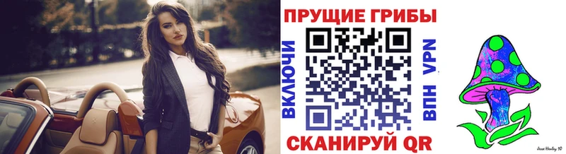 Галлюциногенные грибы Psilocybe  как найти наркотики  Лермонтов 